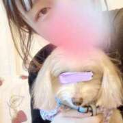 ヒメ日記 2025/10/17 16:12 投稿 ルピス 【福岡デリヘル】20代・30代★博多で評判のお店はココです！