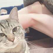 ヒメ日記 2025/11/13 20:14 投稿 ルピス 【福岡デリヘル】20代・30代★博多で評判のお店はココです！