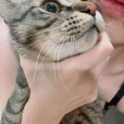 ヒメ日記 2025/12/13 06:06 投稿 ルピス 【福岡デリヘル】20代・30代★博多で評判のお店はココです！