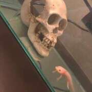 ヒメ日記 2025/08/22 11:27 投稿 じゅな ギャルコレクション