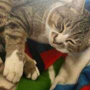 ヒメ日記 2025/08/26 11:50 投稿 じゅな ギャルコレクション