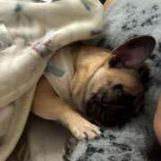 ヒメ日記 2025/09/24 11:21 投稿 じゅな ギャルコレクション