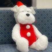 すず『Hカップ』 嬉しいこと🎶 ぽよぽよランド