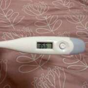 福住　ななお 体温 つくば風俗エキスプレス   ヌキ坂46