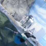 ヒメ日記 2025/09/13 19:52 投稿 えりる ちゃんこ藤沢茅ヶ崎店