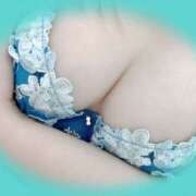 ヒメ日記 2025/11/03 22:52 投稿 えりる ちゃんこ藤沢茅ヶ崎店