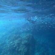 ヒメ日記 2025/09/07 15:27 投稿 橘花まひな お姉さんCLUB