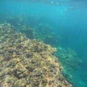 ヒメ日記 2025/10/04 19:42 投稿 橘花まひな お姉さんCLUB