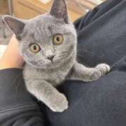 橘花まひな 明日短時間だけ💓💓 お姉さんCLUB