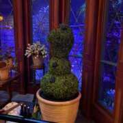 ヒメ日記 2026/01/10 20:20 投稿 橘花まひな お姉さんCLUB