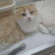 ヒメ日記 2026/01/10 22:13 投稿 橘花まひな お姉さんCLUB