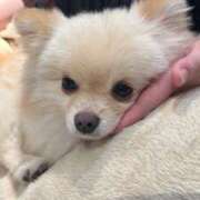 ヒメ日記 2026/01/12 16:19 投稿 橘花まひな お姉さんCLUB