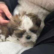 ヒメ日記 2026/01/18 15:04 投稿 橘花まひな お姉さんCLUB