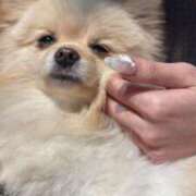 ヒメ日記 2026/01/24 12:49 投稿 橘花まひな お姉さんCLUB