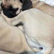 ヒメ日記 2026/01/24 13:48 投稿 橘花まひな お姉さんCLUB