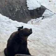 ヒメ日記 2026/02/27 10:34 投稿 橘花まひな お姉さんCLUB