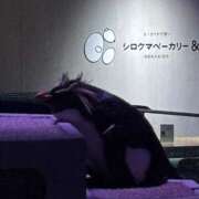 ヒメ日記 2026/05/23 11:03 投稿 橘花まひな お姉さんCLUB