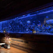 ヒメ日記 2026/04/15 20:47 投稿 さえ CHANGE THE WEST