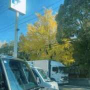 ヒメ日記 2025/11/20 13:37 投稿 あず 熟女総本店 堺東店