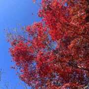 ヒメ日記 2025/12/01 18:10 投稿 あず 熟女総本店 堺東店