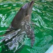 ヒメ日記 2025/12/23 17:34 投稿 あず 熟女総本店 堺東店