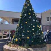 ヒメ日記 2025/12/28 15:47 投稿 あず 熟女総本店 堺東店