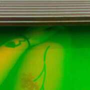 ヒメ日記 2026/03/04 18:08 投稿 かんな 成田富里インターちゃんこ