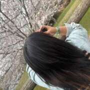 ヒメ日記 2026/03/30 15:58 投稿 かんな 成田富里インターちゃんこ