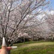 かんな 4月の予定🌸 成田富里インターちゃんこ