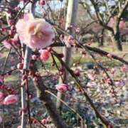 ヒメ日記 2026/02/16 18:30 投稿 ひかり ディアクイーンズ