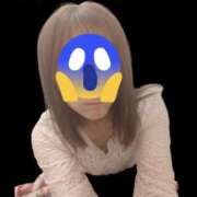 ヒメ日記 2026/04/28 09:49 投稿 ひかり ディアクイーンズ