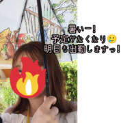 ヒメ日記 2026/06/21 12:42 投稿 ひかり ディアクイーンズ