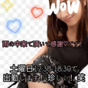 ヒメ日記 2026/09/03 16:12 投稿 ひかり ディアクイーンズ