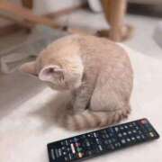 ヒメ日記 2026/01/31 07:34 投稿 なおみ 奥様の実話 梅田店