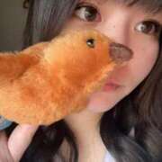 ヒメ日記 2025/10/25 11:51 投稿 みゆ 素人ぽちゃカワ学園