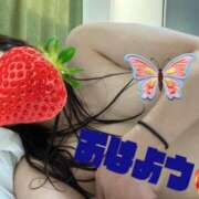 ヒメ日記 2025/12/08 08:48 投稿 ゆう モアグループ神栖人妻花壇