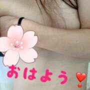 ヒメ日記 2025/12/30 10:06 投稿 ゆう モアグループ神栖人妻花壇