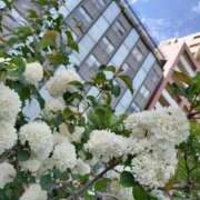 ヒメ日記 2025/09/09 08:59 投稿 やよい 尼妻（あまづま）