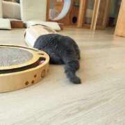 ヒメ日記 2025/10/05 09:42 投稿 やよい 尼妻（あまづま）