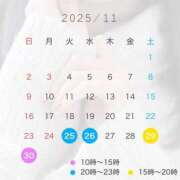 ヒメ日記 2025/11/24 15:16 投稿 あおい ウルトラブレイズ