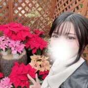 ヒメ日記 2026/01/01 17:18 投稿 あおい ウルトラブレイズ