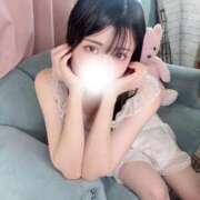 あおい ほろ酔い気分🌙 ウルトラブレイズ