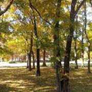 ヒメ日記 2025/11/17 12:24 投稿 えみ 池袋おかあさん