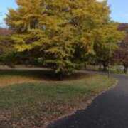 ヒメ日記 2025/11/22 12:04 投稿 えみ 池袋おかあさん