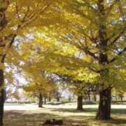 ヒメ日記 2025/11/26 10:58 投稿 えみ 池袋おかあさん