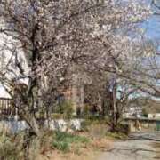 ヒメ日記 2026/02/26 13:05 投稿 えみ 池袋おかあさん