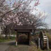 ヒメ日記 2026/03/18 12:30 投稿 えみ 池袋おかあさん