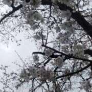 ヒメ日記 2026/03/25 13:04 投稿 えみ 池袋おかあさん