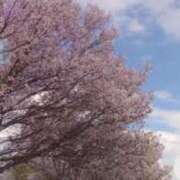 ヒメ日記 2026/03/29 09:24 投稿 えみ 池袋おかあさん