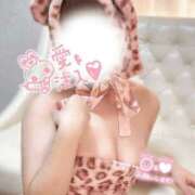 ヒメ日記 2025/10/29 15:33 投稿 まや Masquerade(マスカレード)